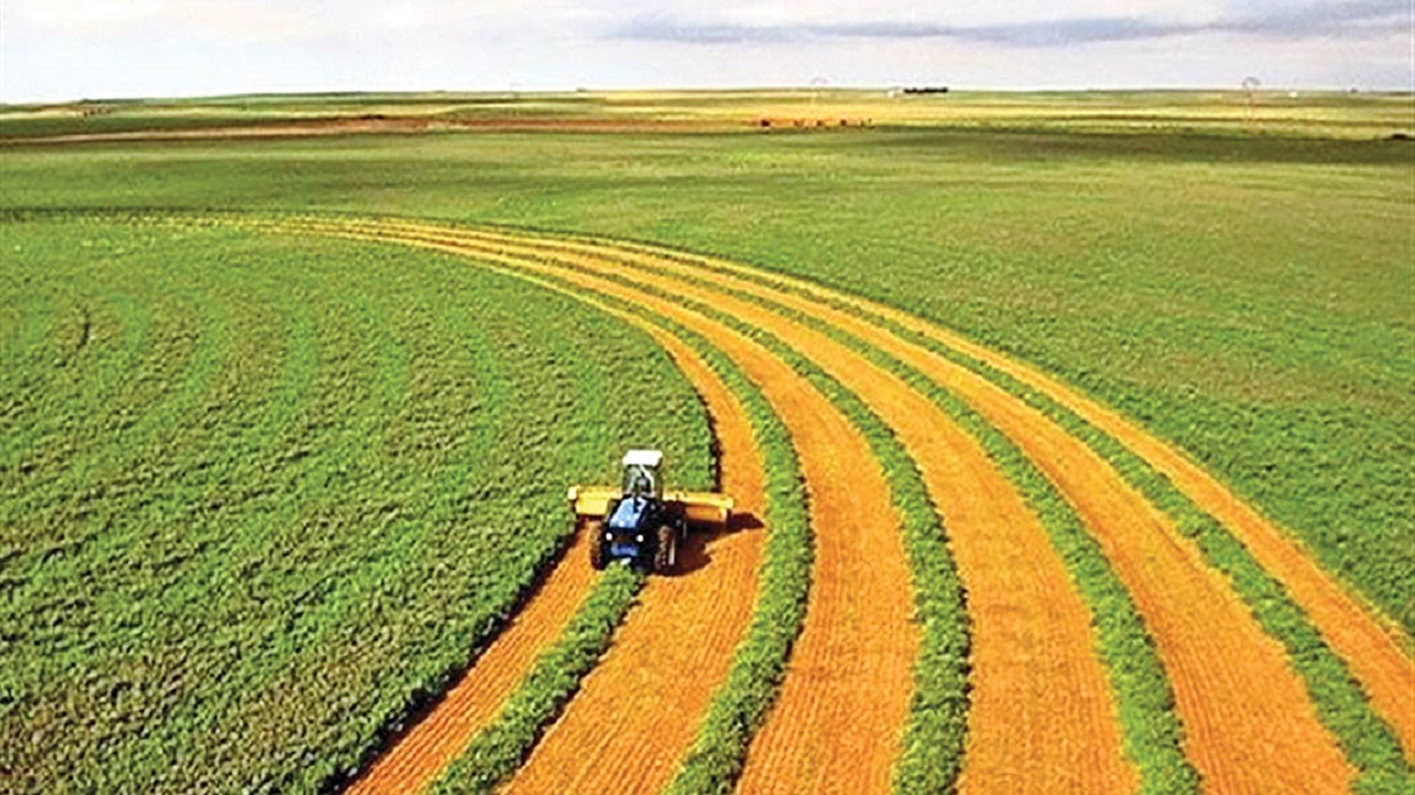 پرداخت وام قرض الحسنه ۲۰۰ میلیون تومانی برای توسعه دیمزارها