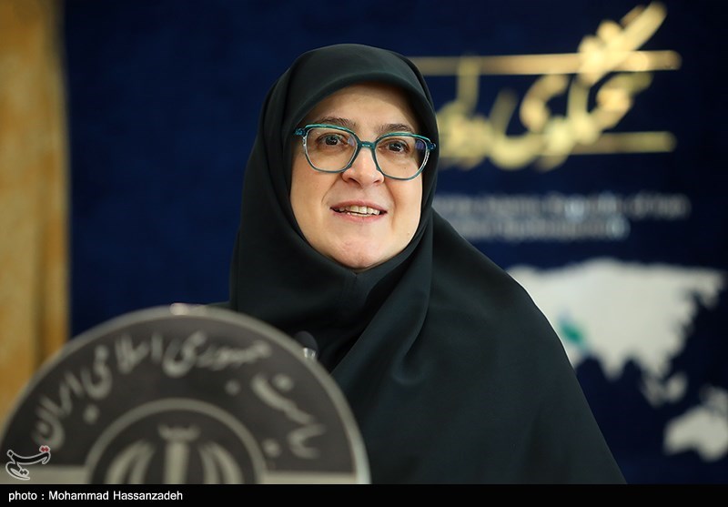 سخنگوی دولت:محور مذاکرات ژنو مسائل منطقه‌ای و بین‌المللی است