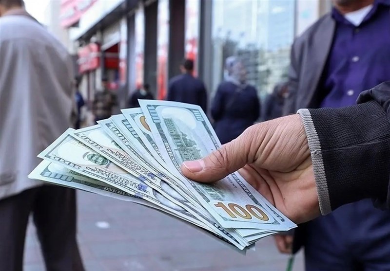 همتی و فرزین برای بررسی افزایش قیمت ارز به مجلس می‌روند