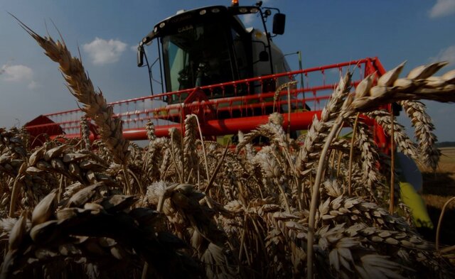 فائو از افزایش قیمت جهانی مواد غذایی خبر داد
