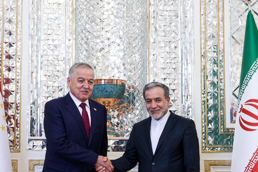 عراقچی بر ضرورت موضع قاطع کشورهای اسلامی برای پایان دادن به نسلکشی در غزه تاکید کرد عراقچی بر ضرورت موضع قاطع کشورهای اسلامی برای پایان دادن به نسلکشی در غزه تاکید کرد
