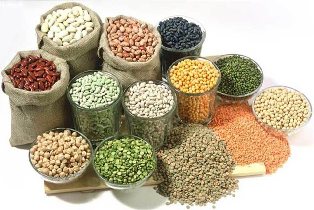 صادرات بیرویه عامل گرانی حبوبات صادرات بیرویه عامل گرانی حبوبات