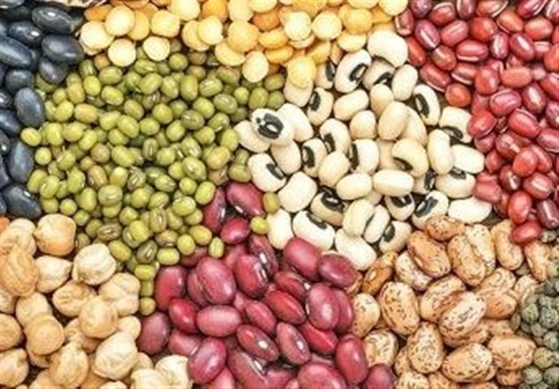 توزیع ۱۰ هزار تن حبوبات تنظیم بازاری از شنبه‌