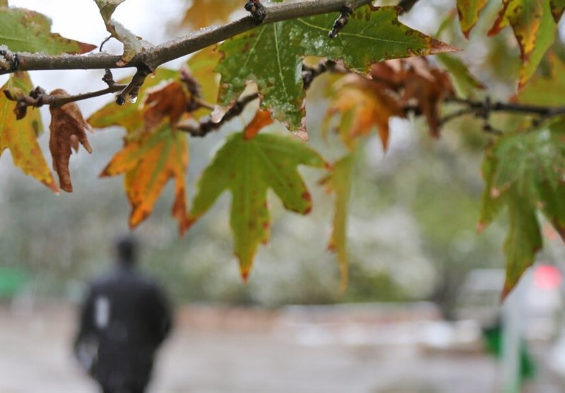 تداوم بارش‌ها، وزش باد شدید و رعد و برق در برخی مناطق کشور