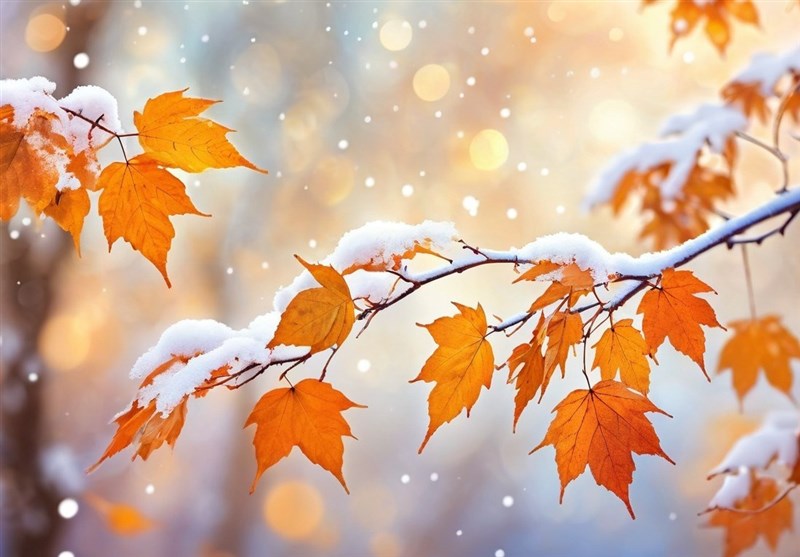 پیش‌بینی جو آرام تا چهارشنبه؛ جمعه باران، رگبار و کاهش دما در سواحل خزر و شمال غرب