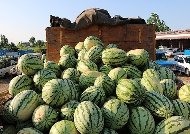 ممنوعیت واردات ۴۰ قلم کالای کشاورزی به عراق طبیعی است اما باید سه ماه زودتر اطلاع دهند