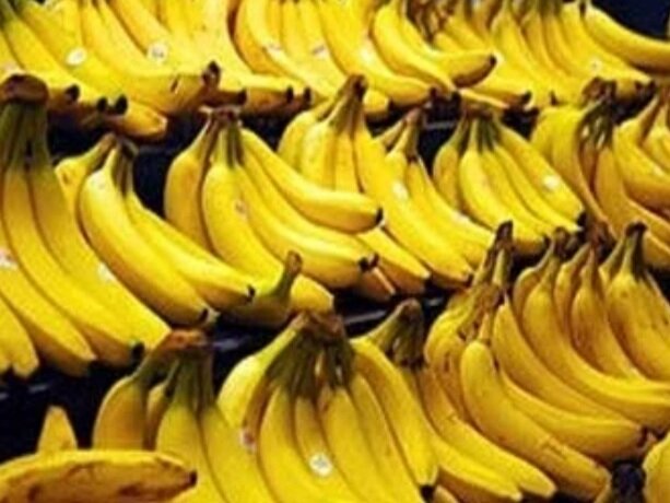 واردات موز به ایران از ابتدای سال به ۳۶۰ هزار تن رسید