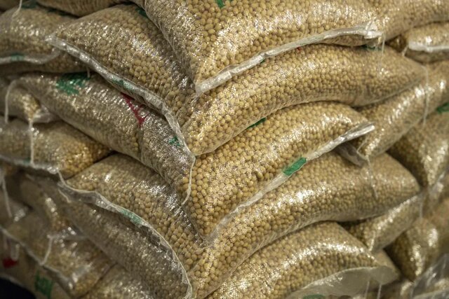 چین سویای برزیلی ارزان‌تر می‌خرد؛ بهبود روابط ترامپ-شی تقاضای آمریکا را افزایش داد