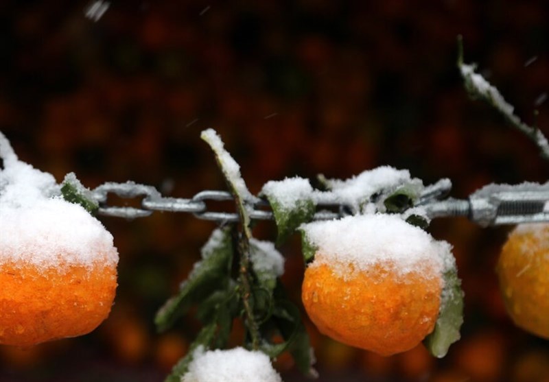 سامانه بارشی فعال در ۲۴ استان؛ ورود سامانه جدید یکشنبه