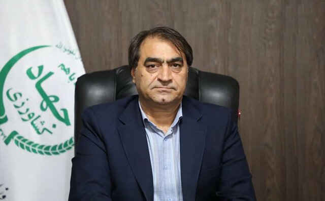 آغاز ترخیص متمرکز نهاده‌های دامی با ارز دولتی از ابتدای آذر