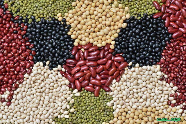 قیمت حبوبات ۳۰ تا ۳۵ درصد افزایش یافت