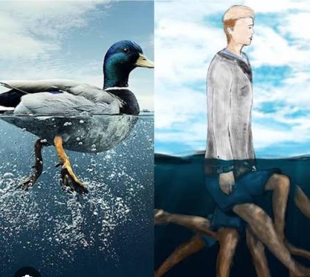 سندروم اردک