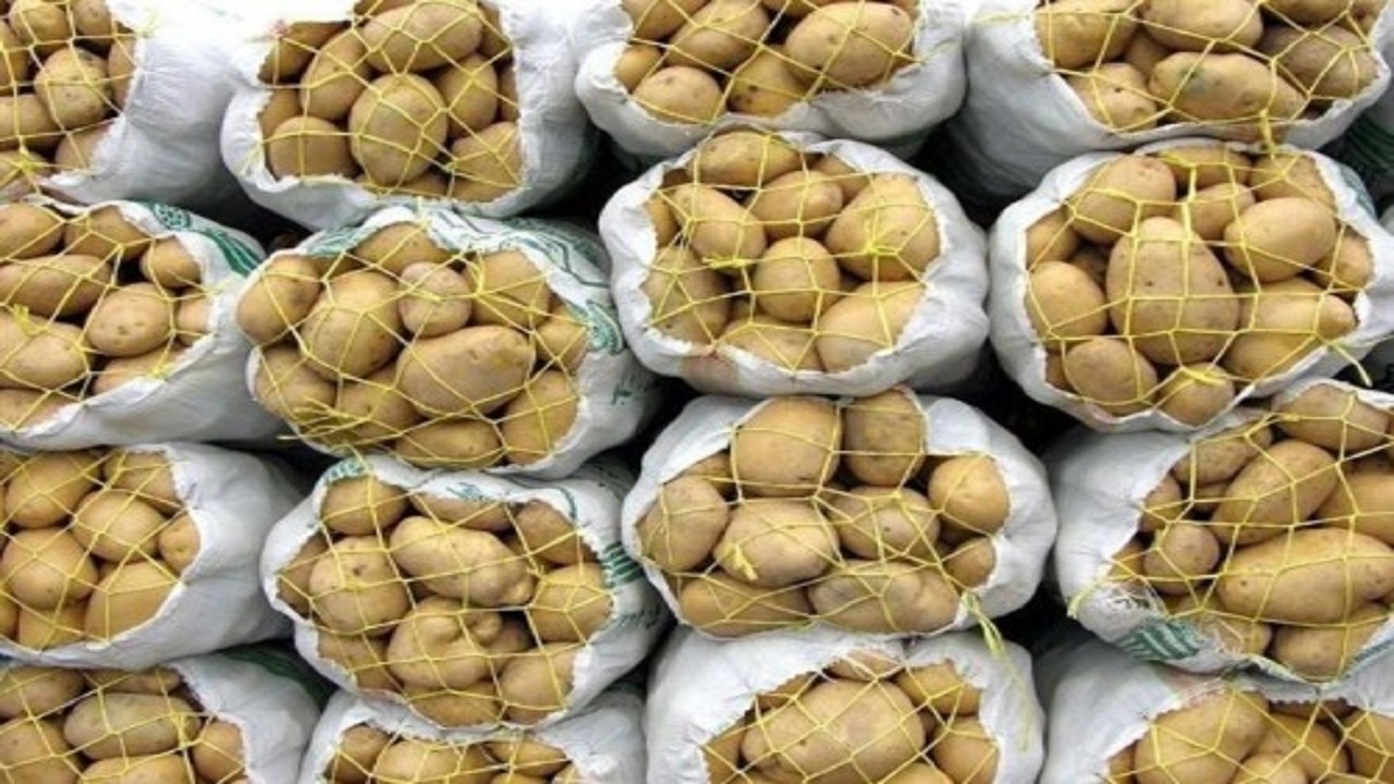 عرضه سیب زمینی از محل ذخایر راهبردی متوقف شد