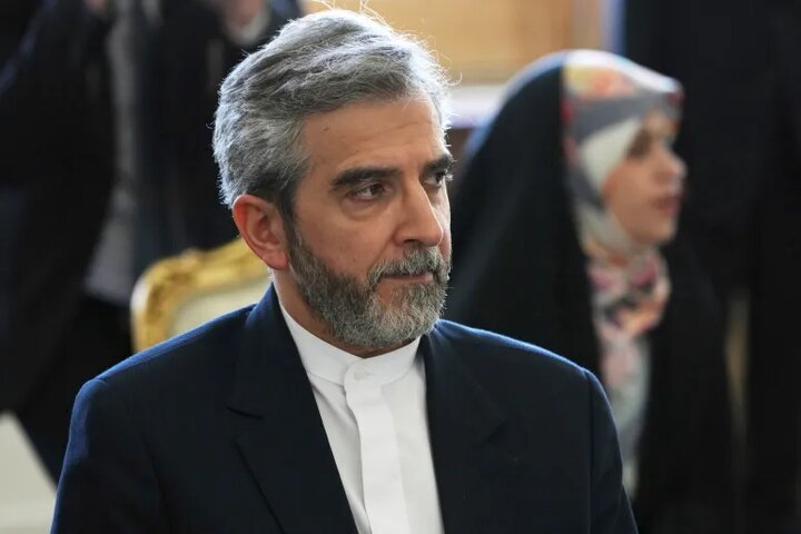 دیدار معاون شورای عالی امنیت ملی ایران با مشاور امنیت ملی سوئیس در مسکو