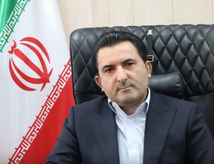 زنجیره مرغ و تخم‌مرغ ۸ ماه پس از شوک ارزی به تعادل رسید