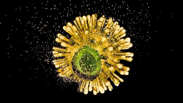 داروی جدید HIV با موفقیت اولین آزمایش انسانی را پشت سر گذاشت