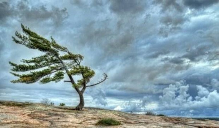 هشدار زرد هواشناسی؛ وزش باد شدید و گردوخاک در ۲۰ استان از جمعه تا دوشنبه