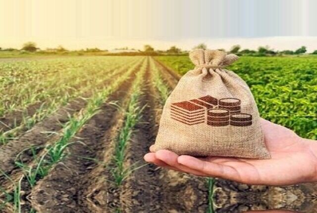 پرداخت ۱۶ همت غرامت به کشاورزان / پیشنهاد بیمه جنگ روی میز دولت