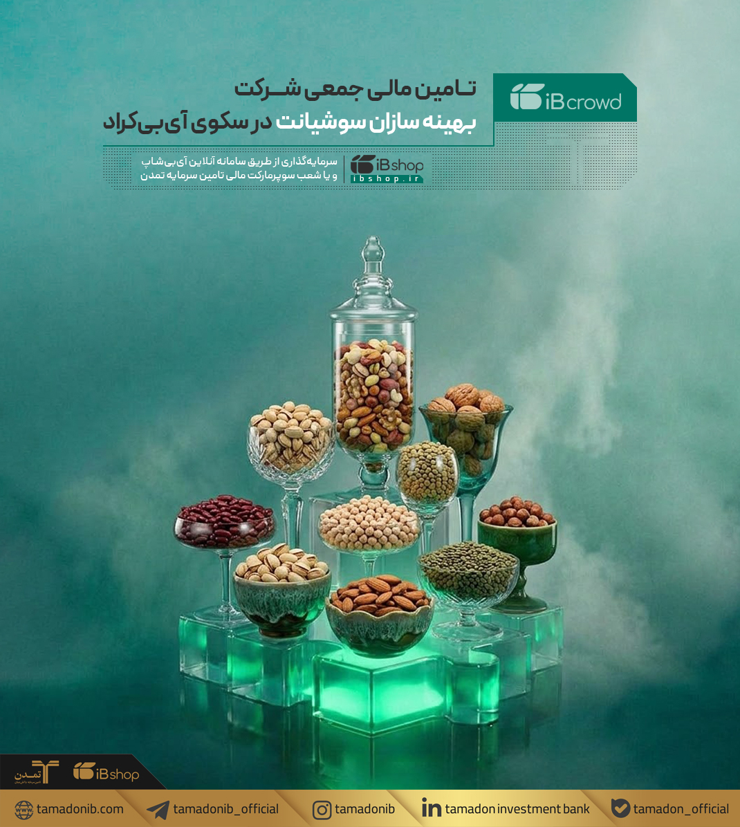 تامین مالی جمعی شرکت بهینه سازان سوشیانت در سکوی آی‌بی‌کراد