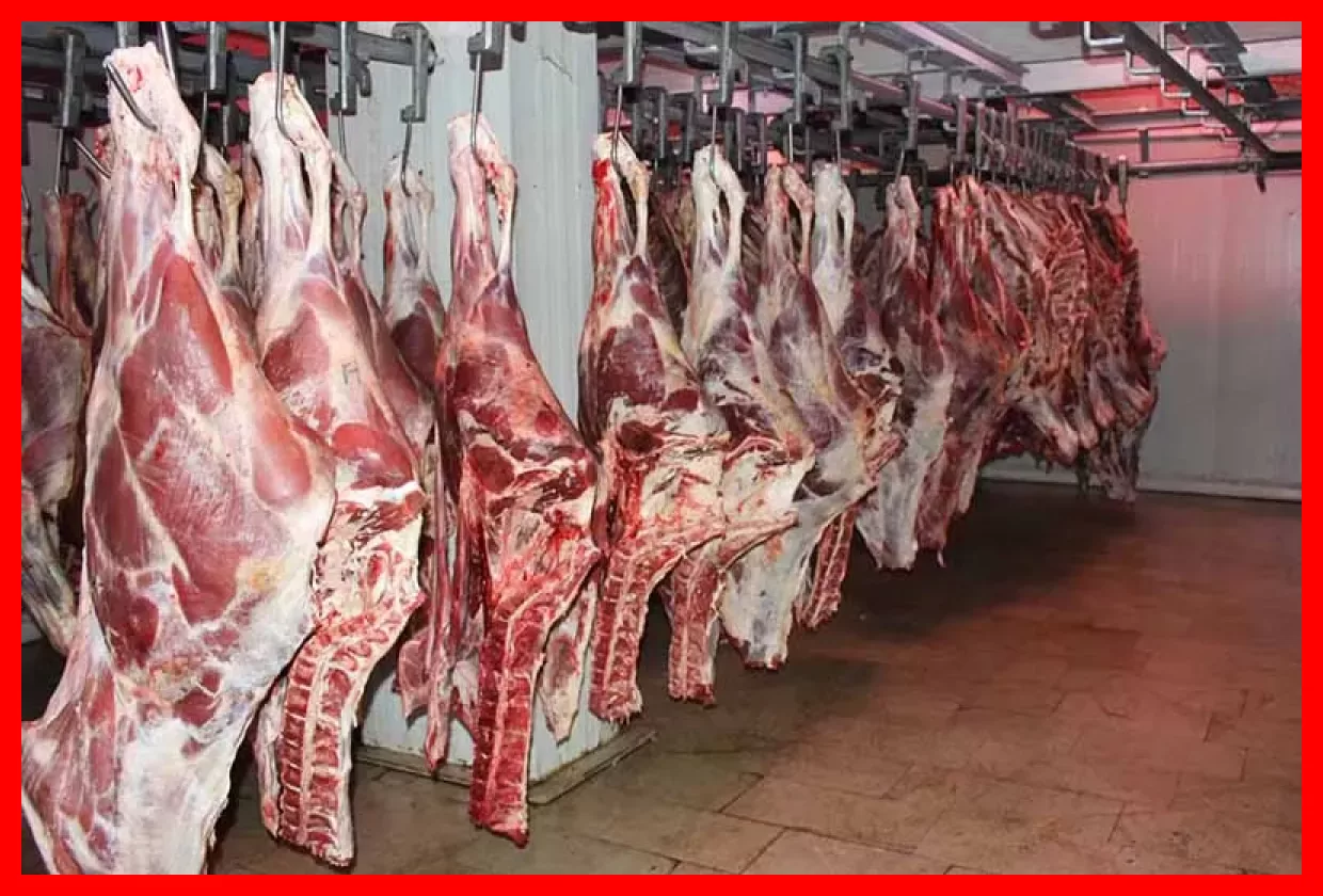 کاهش مزیت قیمتی گوشت وارداتی / احتمال کاهش نیاز کشور به واردات گوشت قرمز